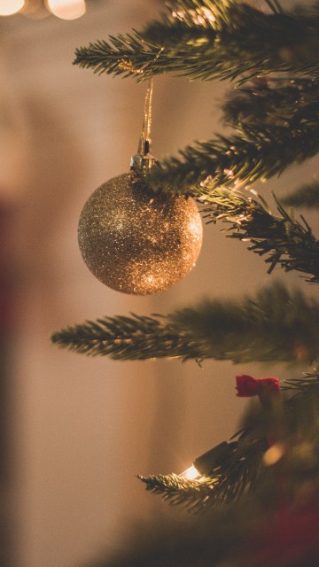Image Christmas Day, christmas tree, christmas decoration, christmas ornament, christmas and holiday season