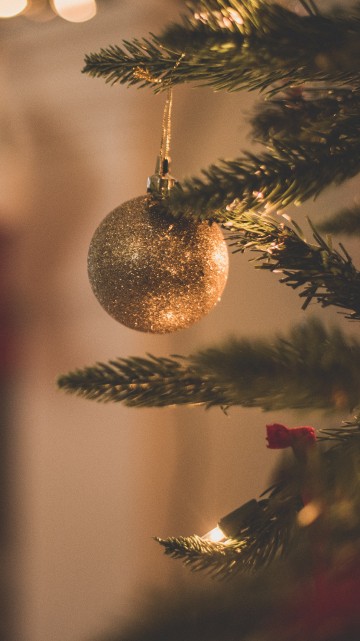 Image Christmas Day, christmas tree, christmas decoration, christmas ornament, christmas and holiday season