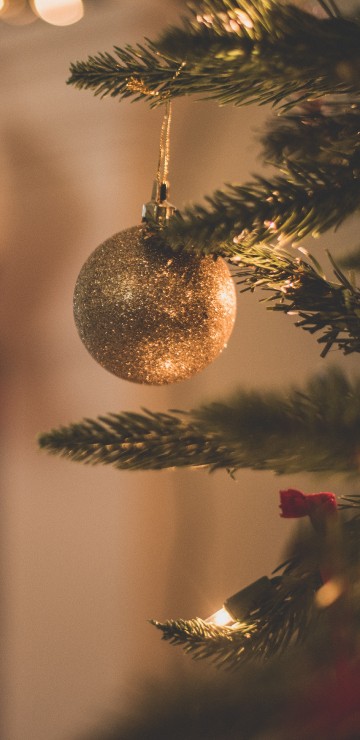 Image Christmas Day, christmas tree, christmas decoration, christmas ornament, christmas and holiday season