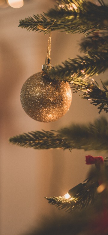 Image Christmas Day, christmas tree, christmas decoration, christmas ornament, christmas and holiday season