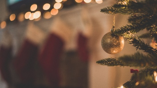 Image Christmas Day, christmas tree, christmas decoration, christmas ornament, christmas and holiday season