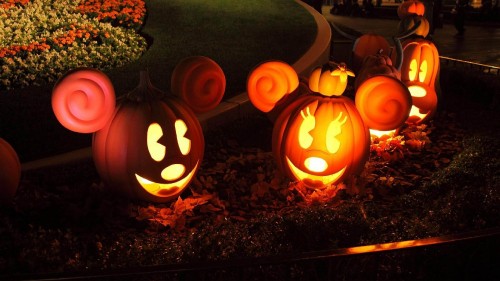 Image Pumpkin, calabaza, winter squash, carving, lighting