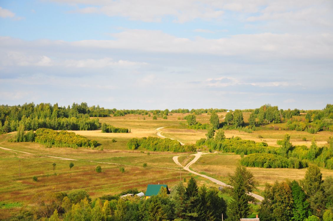 green grass field under blue sky during daytime