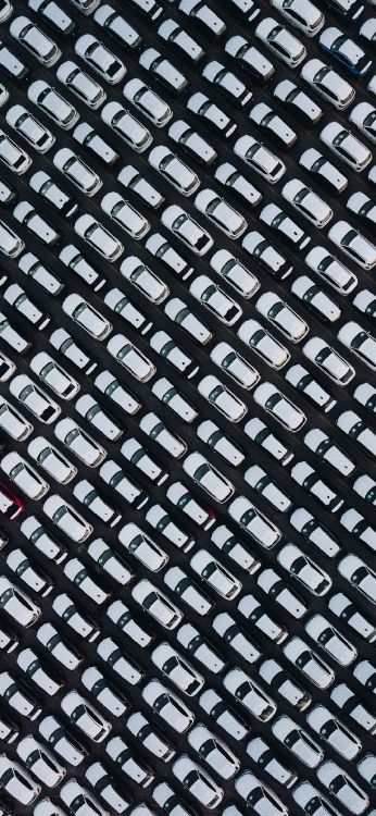 Fünfzig Pence, Münze, Werkstoffeigenschaften, Masche, Muster. Wallpaper in 1080x2340 Resolution