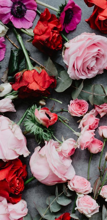 Image red roses on gray concrete floor