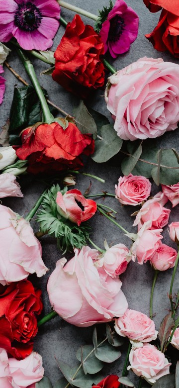 Image red roses on gray concrete floor