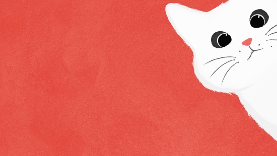 Image cat, felidae, Carnivore, small to medium sized cats, whiskers
