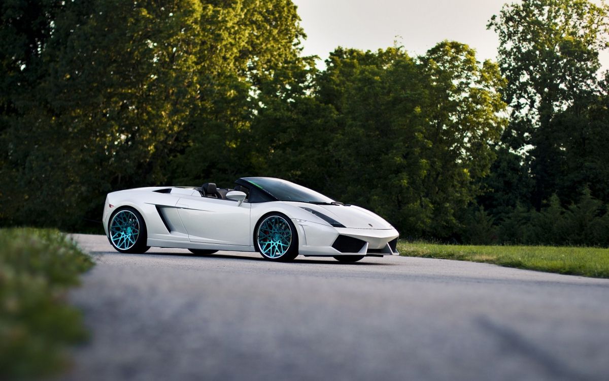 Lamborghini Aventador Blanco en la Carretera Durante el Día. Wallpaper in 2560x1600 Resolution