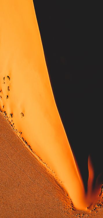 Orange, Brown, Bernstein, Holz, Blütenblatt. Wallpaper in 1516x3200 Resolution