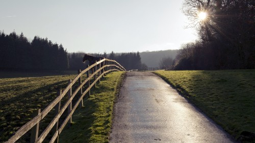 Image gray concrete road between green grass field during daytime