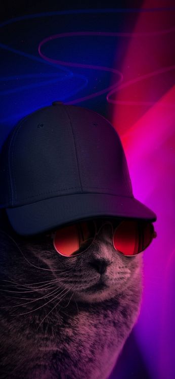 Licht, Haar, Kopf, Brille, Hut. Wallpaper in 1080x2340 Resolution