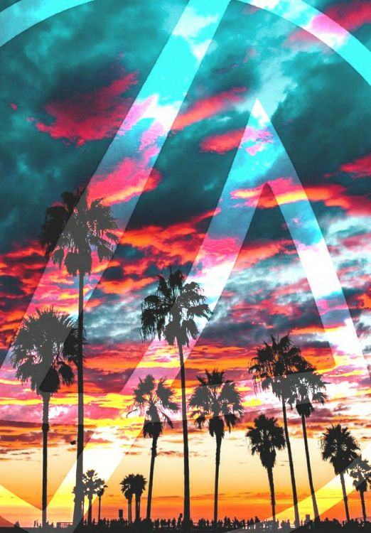 La Gente Caminando en el Parque Con Palmeras Bajo un Cielo Azul Con Arco Iris Durante el Día. Wallpaper in 1080x1550 Resolution