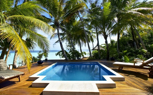 Image swimming pool near palm trees during daytime