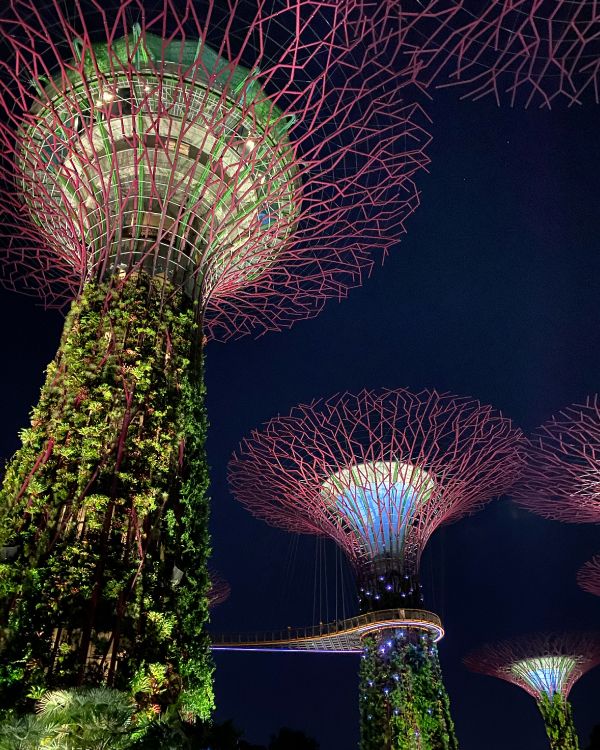 Singapour, Nature, Terre, Attraction Touristique, Nuit. Wallpaper in 3024x3779 Resolution