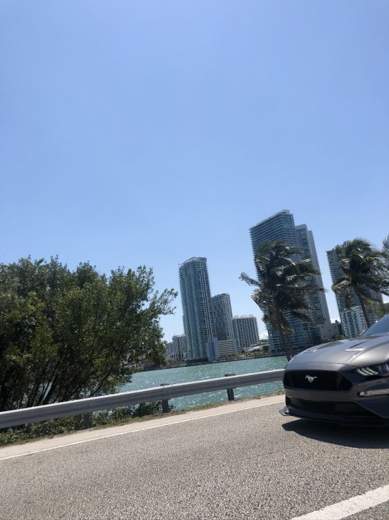 Roi, Voiture de Taille Moyenne, Voiture Compacte, la Journée, Tour de Bloc. Wallpaper in 1536x2048 Resolution