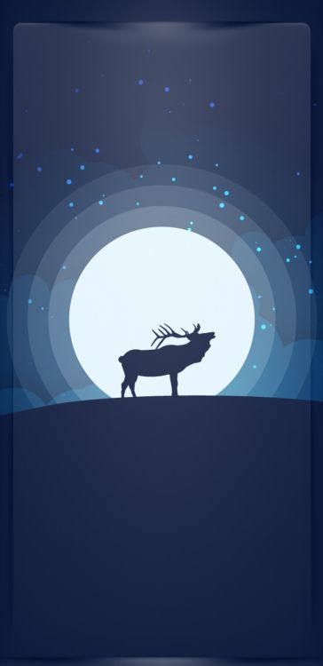 Illustration, Affiche, Fenêtre, Elk, Art. Wallpaper in 1080x2220 Resolution