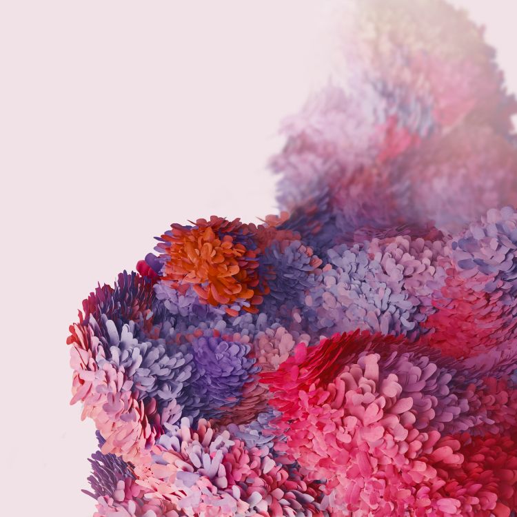 Samsung Galaxy, Samsung, Samsung Galaxy S20, Android, Blütenblatt. Wallpaper in 3200x3200 Resolution