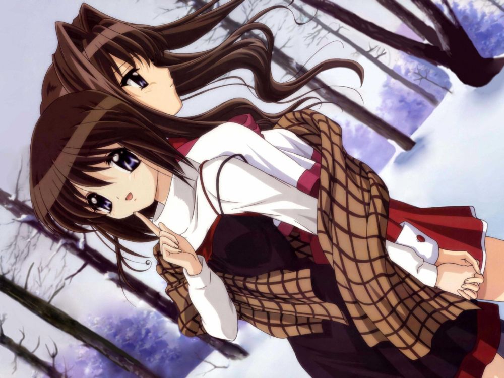 Braunhaarige Weibliche Anime-Figur. Wallpaper in 2048x1536 Resolution