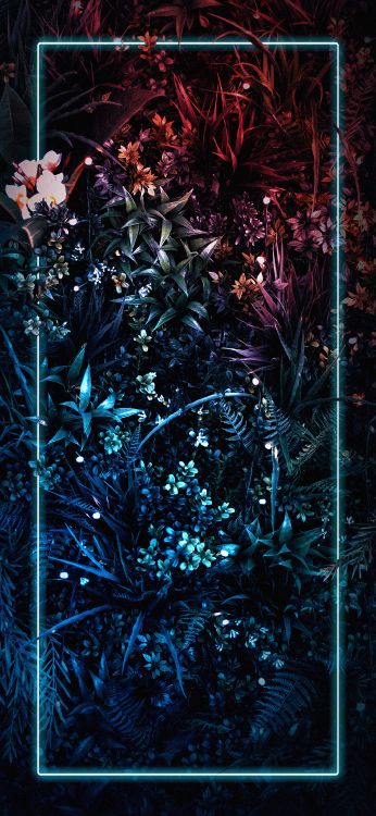 Nature, Rameau, Plante Terrestre, la Floraison de la Plante, Verre. Wallpaper in 1080x2340 Resolution