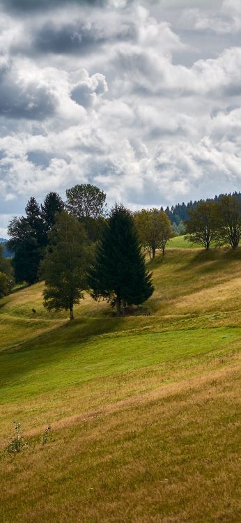 Paysage Naturel, Pente, Prairie, Cumulus, de Teintes et de Nuances. Wallpaper in 1080x2340 Resolution