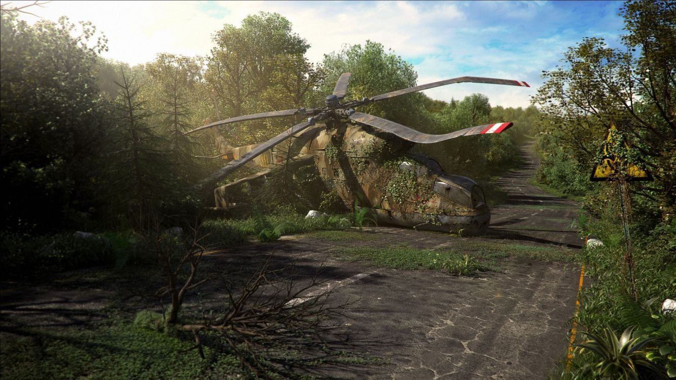 Pajarita Roja y Blanca en la Rama de un Árbol Marrón. Wallpaper in 2560x1440 Resolution