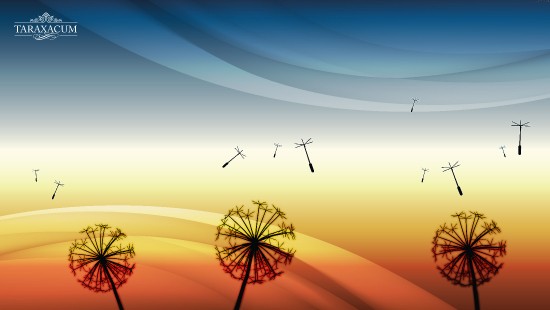 Image silhouette of birds flying over the sky during sunset