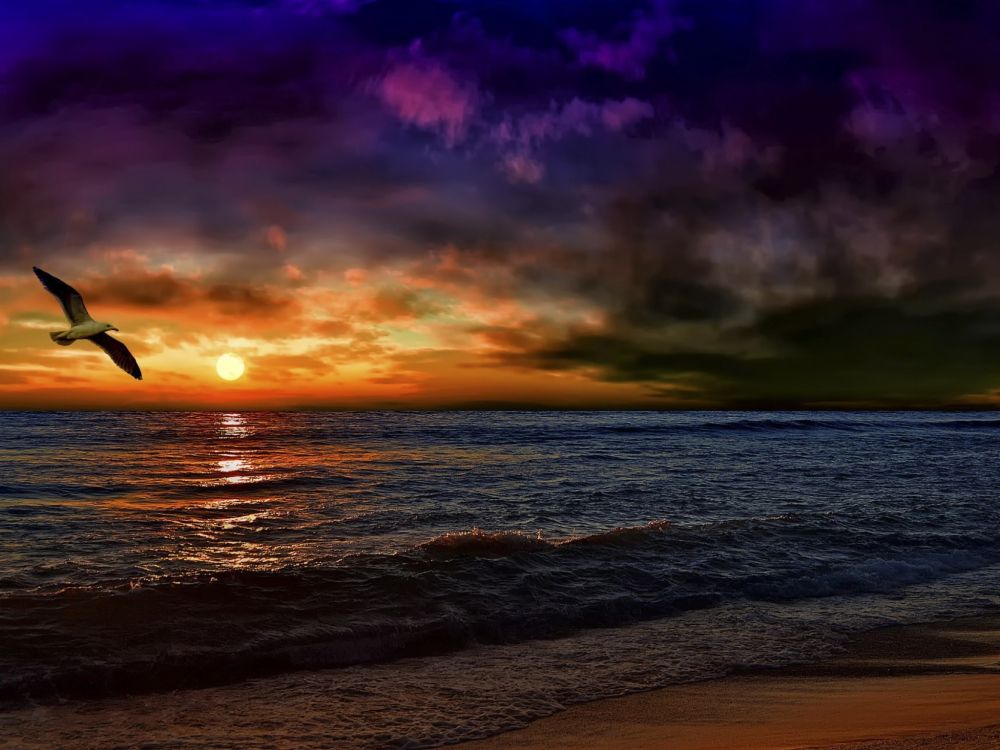 地平线, 大海, 海洋, 日落, 岸边 壁纸 2048x1536 允许