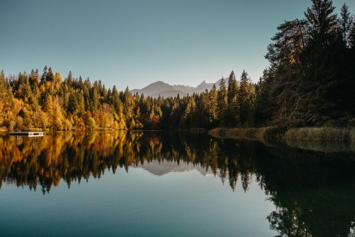 Image reflection, water, plant, leaf, natural landscape