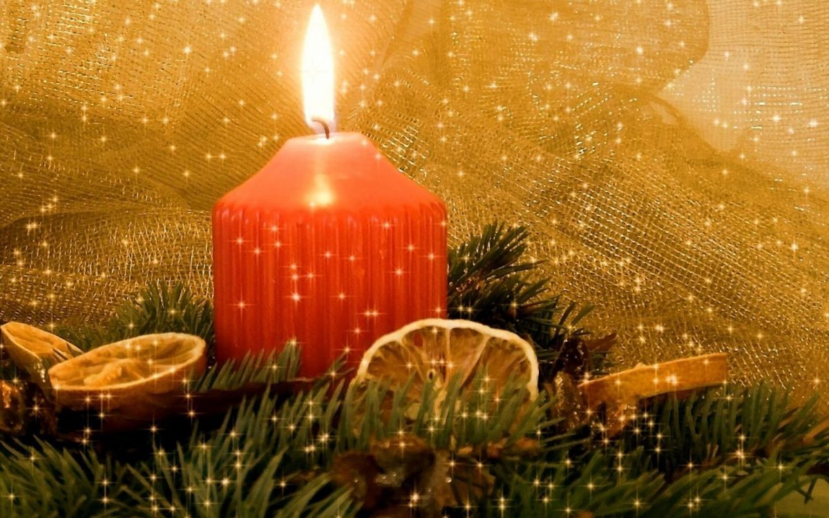 Nochevieja, Decoración de la Navidad, Navidad. Wallpaper in 1920x1200 Resolution