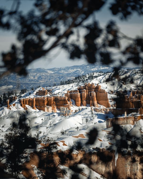 Neige, Hiver, Congélation, Paysage Naturel, Rock. Wallpaper in 4000x5000 Resolution