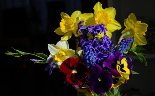 Image yellow and red flowers in tilt shift lens