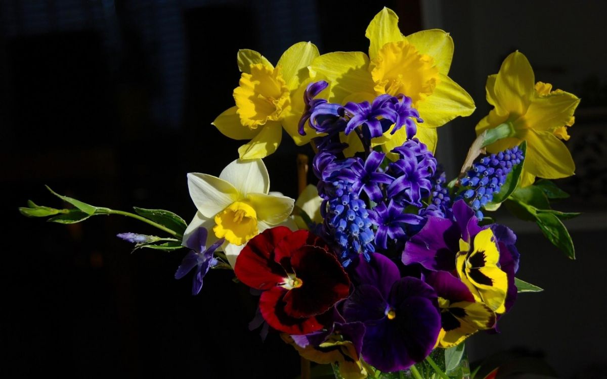 yellow and red flowers in tilt shift lens