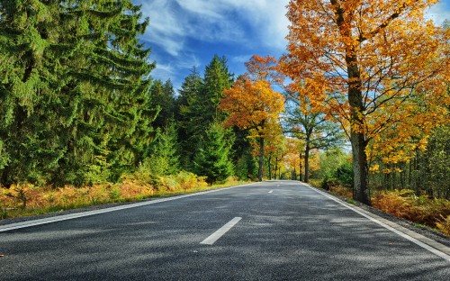 Image gray concrete road between green and brown trees under blue sky and white clouds during daytime