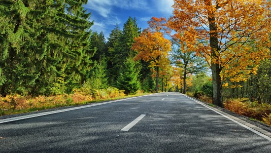 Image gray concrete road between green and brown trees under blue sky and white clouds during daytime