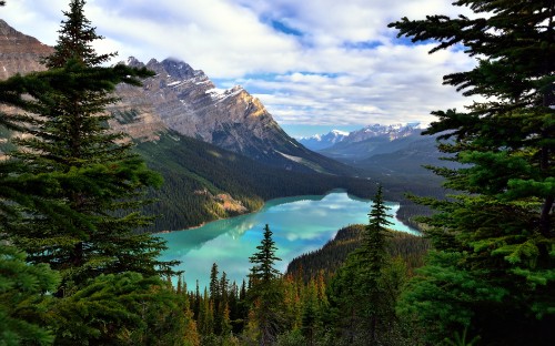 Image green pine trees near lake under blue sky during daytime