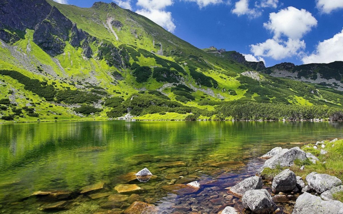 Tagsüber Grüner Berg Neben Dem See Unter Blauem Himmel. Wallpaper in 2560x1600 Resolution