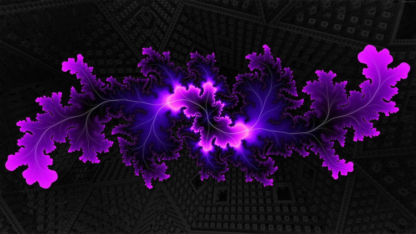 Pétales de Fleurs Violettes Sur Textile Noir et Blanc. Wallpaper in 7680x4320 Resolution