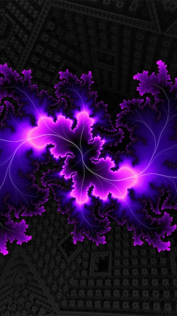 Image purple flower petals on black and white textile