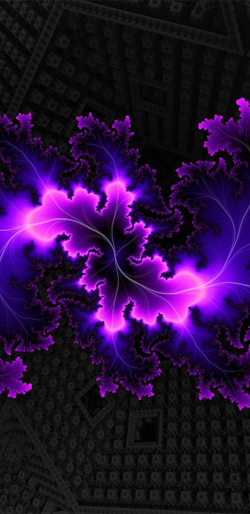 Image purple flower petals on black and white textile