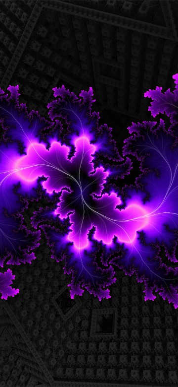 Image purple flower petals on black and white textile