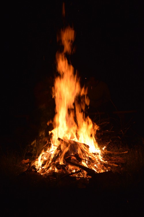 Image burning wood during night time