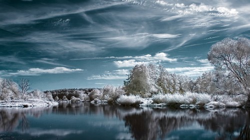 Image white snow covered trees beside lake under blue sky during daytime