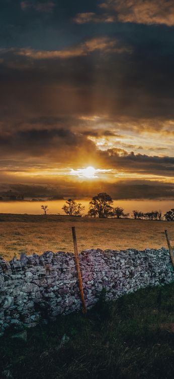 la Luz Del Sol, Ambiente, Afterglow, Paisaje Natural, Sucursal. Wallpaper in 1080x2340 Resolution