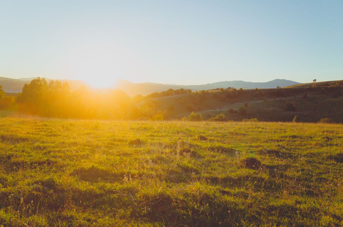 Naturaleza, Entorno Natural, Mañana, la Luz Del Sol, Pradera. Wallpaper in 4928x3264 Resolution