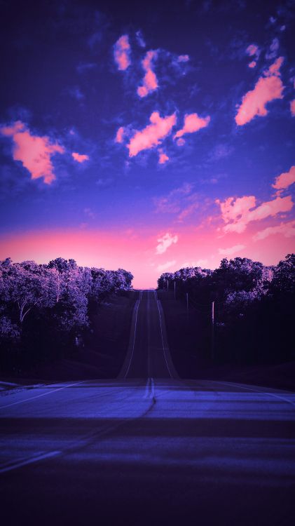 cloud, atmosphere, plant, purple, world