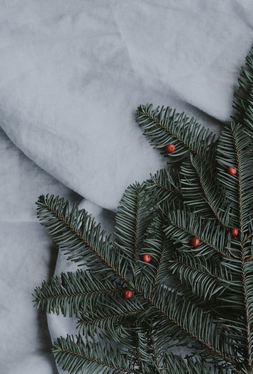 Image green pine tree covered with snow