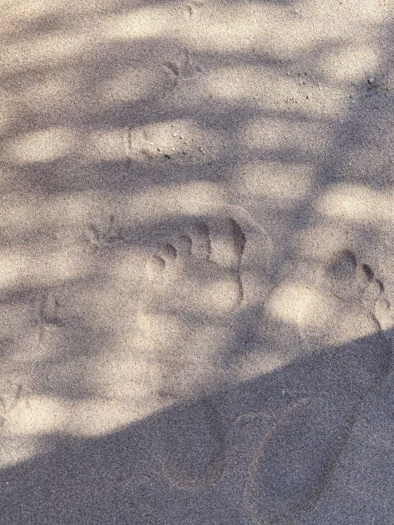 木, 沥青, 和阴影的色彩, 汽车轮胎, 草 壁纸 1536x2048 允许