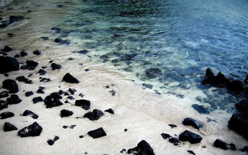 Image black stones on seashore during daytime