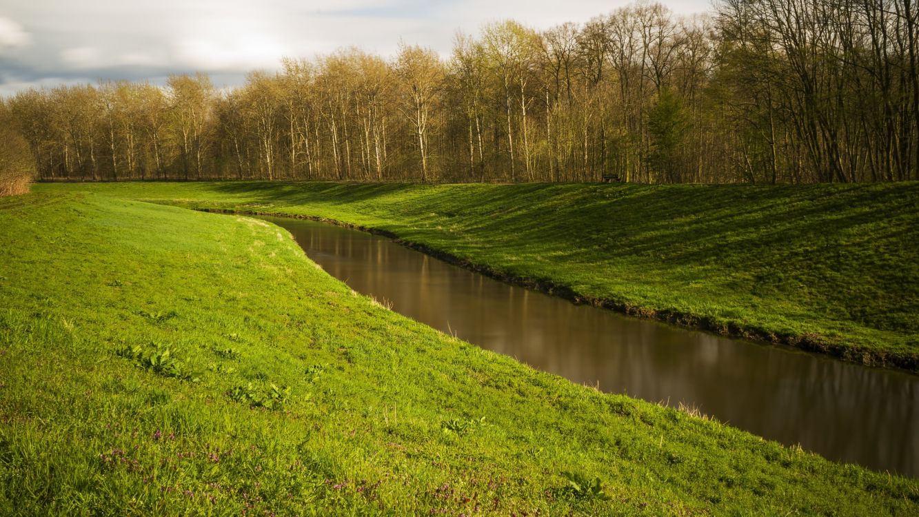 Eau, Les Ressources en Eau, Plante de la Communauté, L'écorégion, Paysage Naturel. Wallpaper in 3840x2160 Resolution