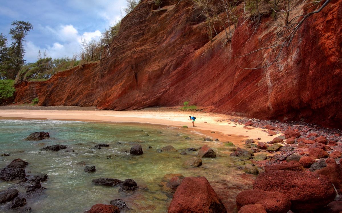 people on beach during daytime